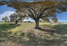 Reagan County Park景点图片