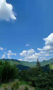 茶の文化館-八女市