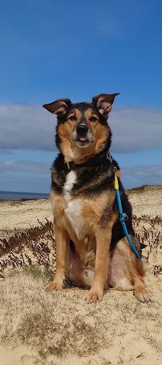 Morsum-Kliff-摩尔苏姆