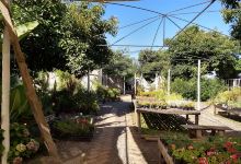 Jardin-Vivero Flora Nativa购物图片