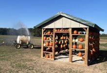 Woods Farms Pumpkin Patch景点图片