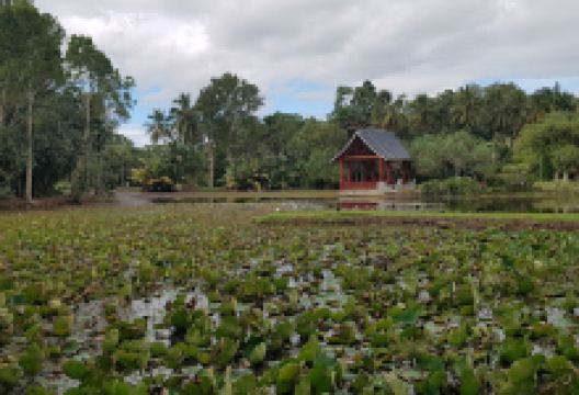 Blue Arrow Circuit Aeroglen Lookout景点图片