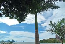 Osiri Beach Resort and Adventures景点图片