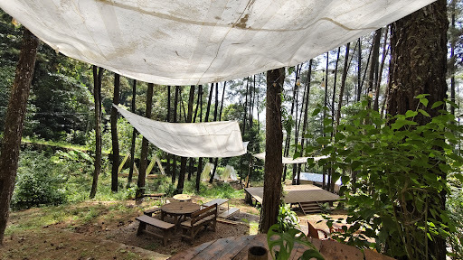 The Nest Cafe - Tretes Jungle Hill