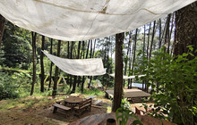 The Nest Cafe - Tretes Jungle Hill餐厅图片