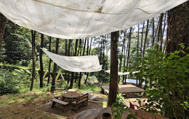 The Nest Cafe - Tretes Jungle Hill