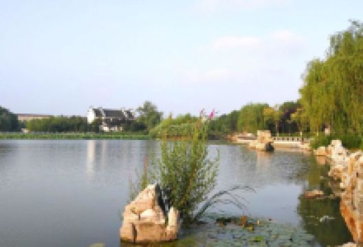戴南泽园景点图片