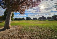 Berrygrove Park景点图片