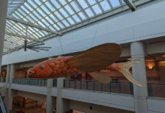 大西洋城会议中心景点图片