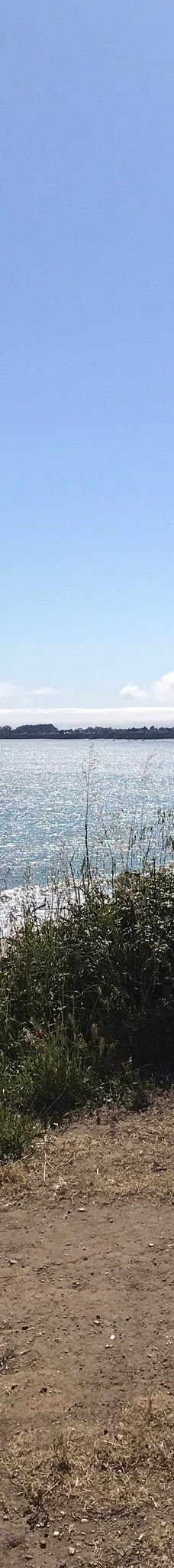 Seacliff State Beach-阿普托斯