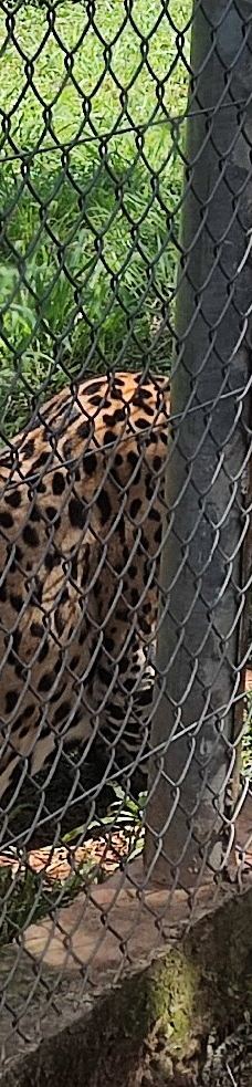 Botanical Garden of Asunción-亚松森