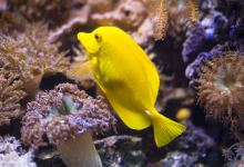 SEA LIFE Timmendorfer Strand景点图片