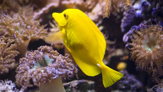 SEA LIFE Timmendorfer Strand