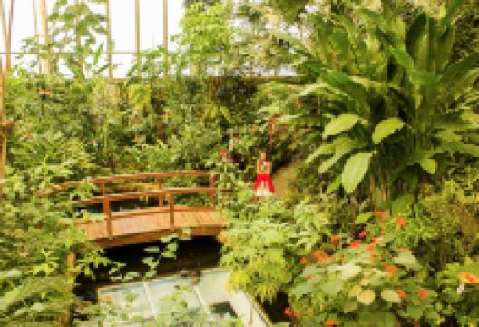 Mariposario Del Drago景点图片