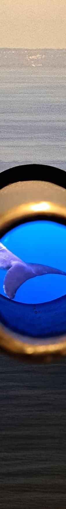 Portugal dos Pequenitos-科英布拉