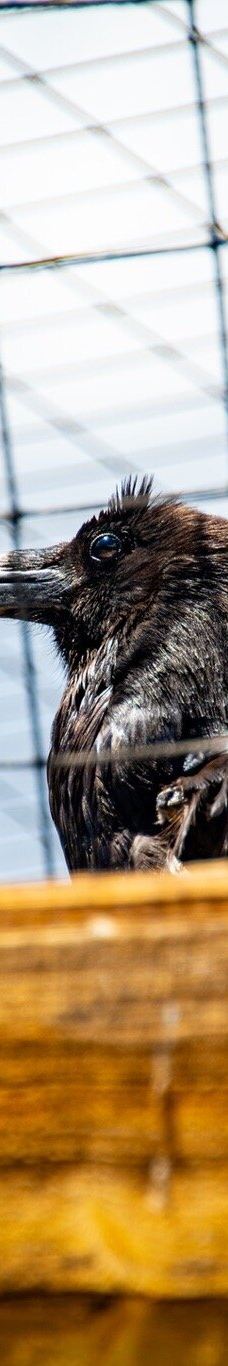 大熊湖动物园-大熊湖