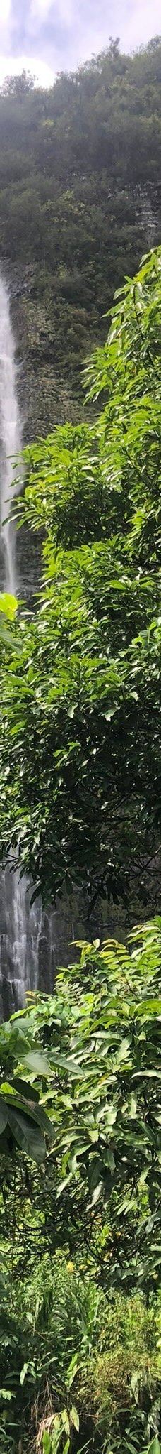 皮皮崴小径-茂宜县