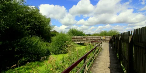 Rye Meads Nature Reserve