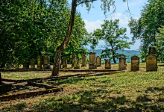 Judischer Friedhof auf dem Domberg景点图片