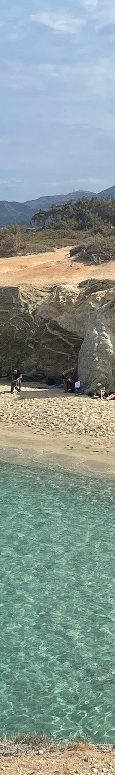 Cedar Forest of Alyko-纳克索斯