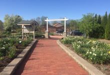 Simpson Garden Park景点图片