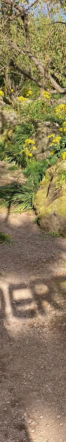 休爱里自然生活公园-西归浦市