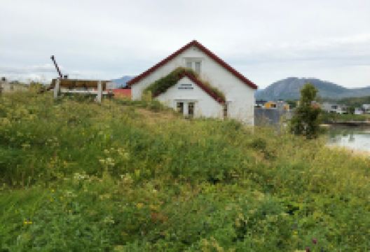 Lavhaugen Museum景点图片