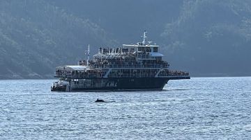 Croisières AML