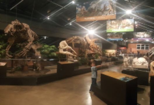 Houston Museum of Natural Science at Sugar Land景点图片