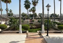 Al Wakrah Public Garden景点图片