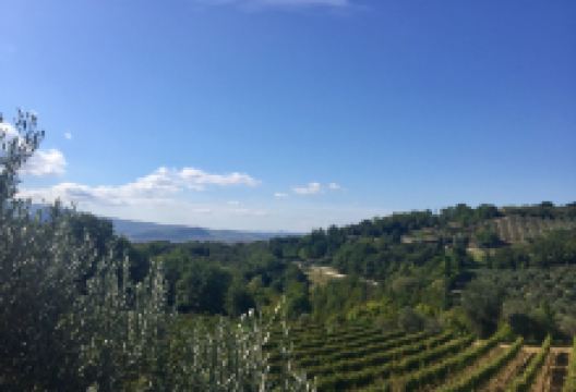 Azienda Agricola Uccelliera景点图片