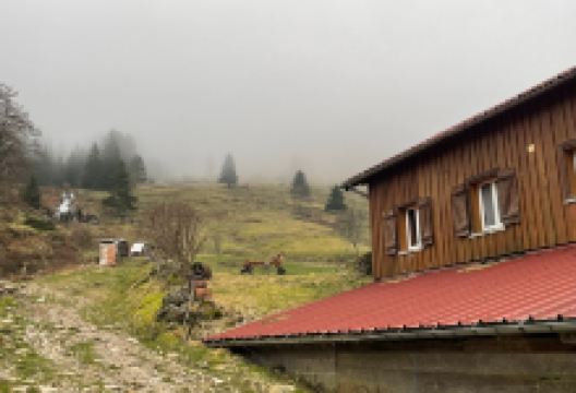Ferme du Saichy景点图片