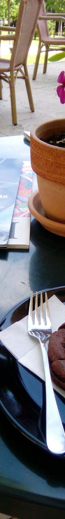 瓦萨里画廊-巴拉顿菲赖德