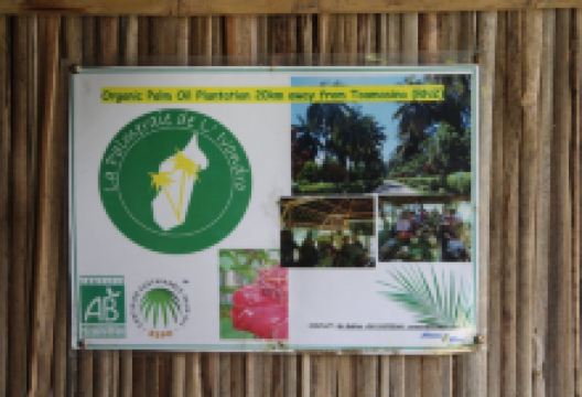 La Palmeraie de l'Ivondro景点图片