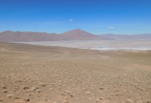 Salar del Rincon景点图片