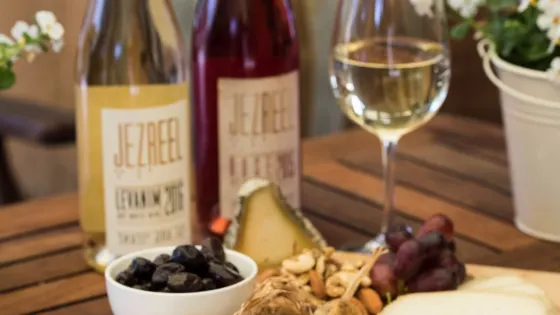 Jezreel Valley Winery