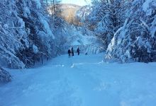 Sensations Mélèzes Parcours Aventure en forêt景点图片
