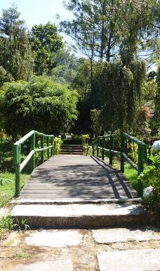 Arboretum Sumber Brantas-Bumiaji