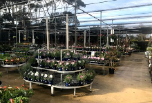 Morgan Park Garden Centre购物图片
