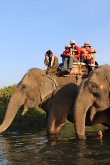 Tikauli Jungle-奇旺