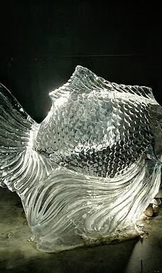 The pine forest of Le Barcarès-勒巴尔卡雷