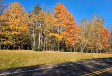 Drummond Woods State Natural Area景点图片