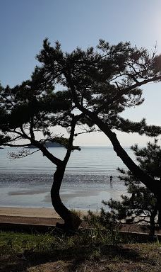 Bungye Beach-新安郡