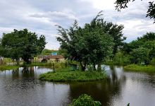 Parque Ecológico Cotia-Pará景点图片