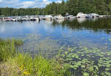 Koskensaari Nature Trail景点图片