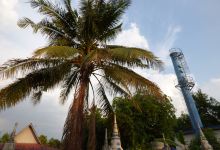 Wat Ko Daeng Pattanaram景点图片