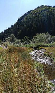 兹拉塔尔湖-Municipality of Nova Varos