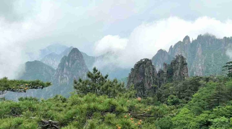 4-Day Huangshan Scenic Area + Hongcun Village + Huizhou Ancient Town