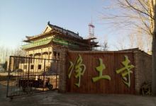 净土寺景点图片