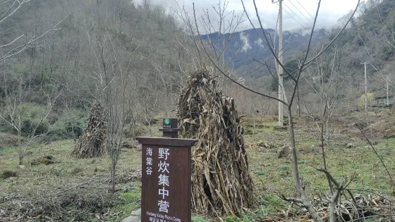 海棠谷野炊集中營